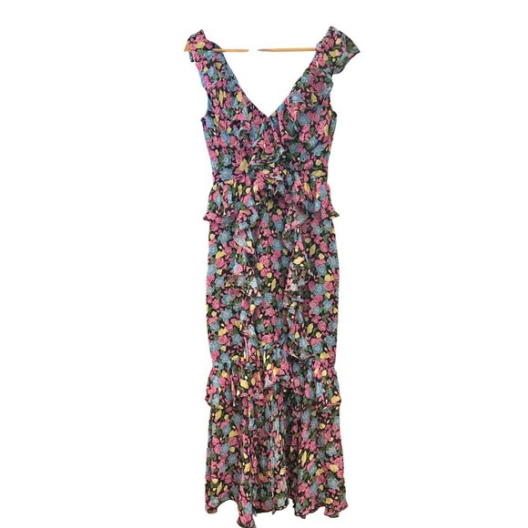 Amur Evita Multicolor Floral Silk Chiffon Ruffle Maxi Dress Size 4 Designer READ - Picture 2 of 10